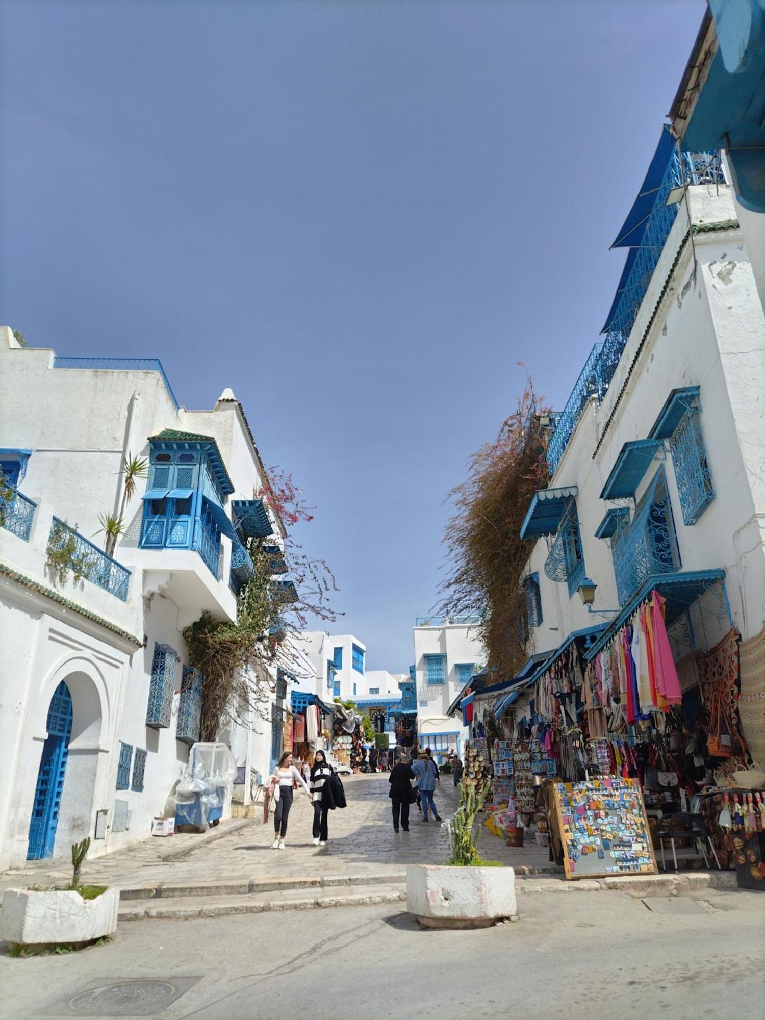 Marsa - Sidi Bousaid Lovely Authentic Apartment La Marsa Dış mekan fotoğraf